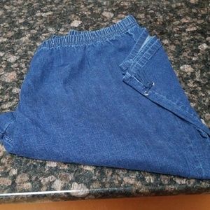 Crop pants / skimmer